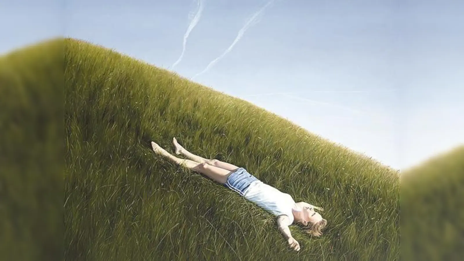 Ins Blaue: Die Münchner Künstlerin Brigitte Stenzel, Titel: Maiwiese/Jahreszyklus 2013. 	          (Foto: Walter Bayer)