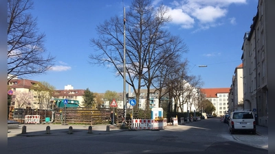 In der Alramstraße 15 wird ein neuer Baum gepflanzt.  (Foto: lsc)