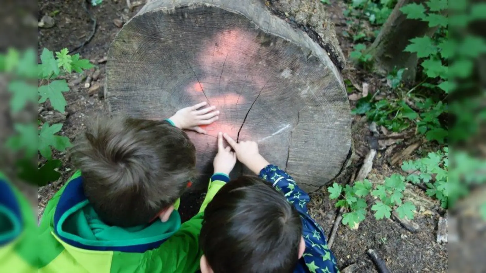 Kinder entdecken die Natur. (Foto: Veronika Westermeier)