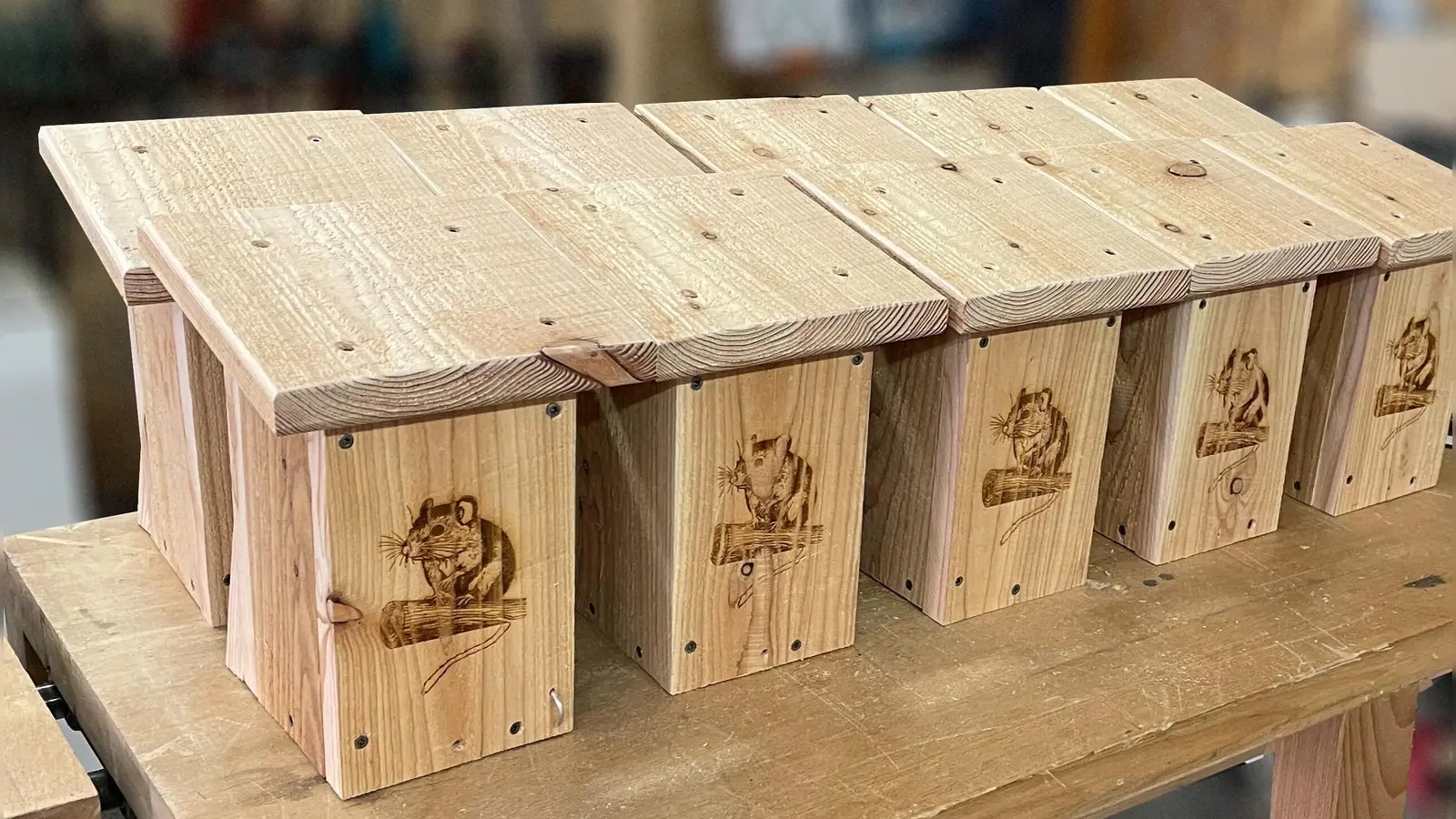 Bei einem Kurs lernt man, wie man Nistkästen für Siebenschläfer &amp; Co bauen kann. (Foto: Museum Wald und Umwelt)