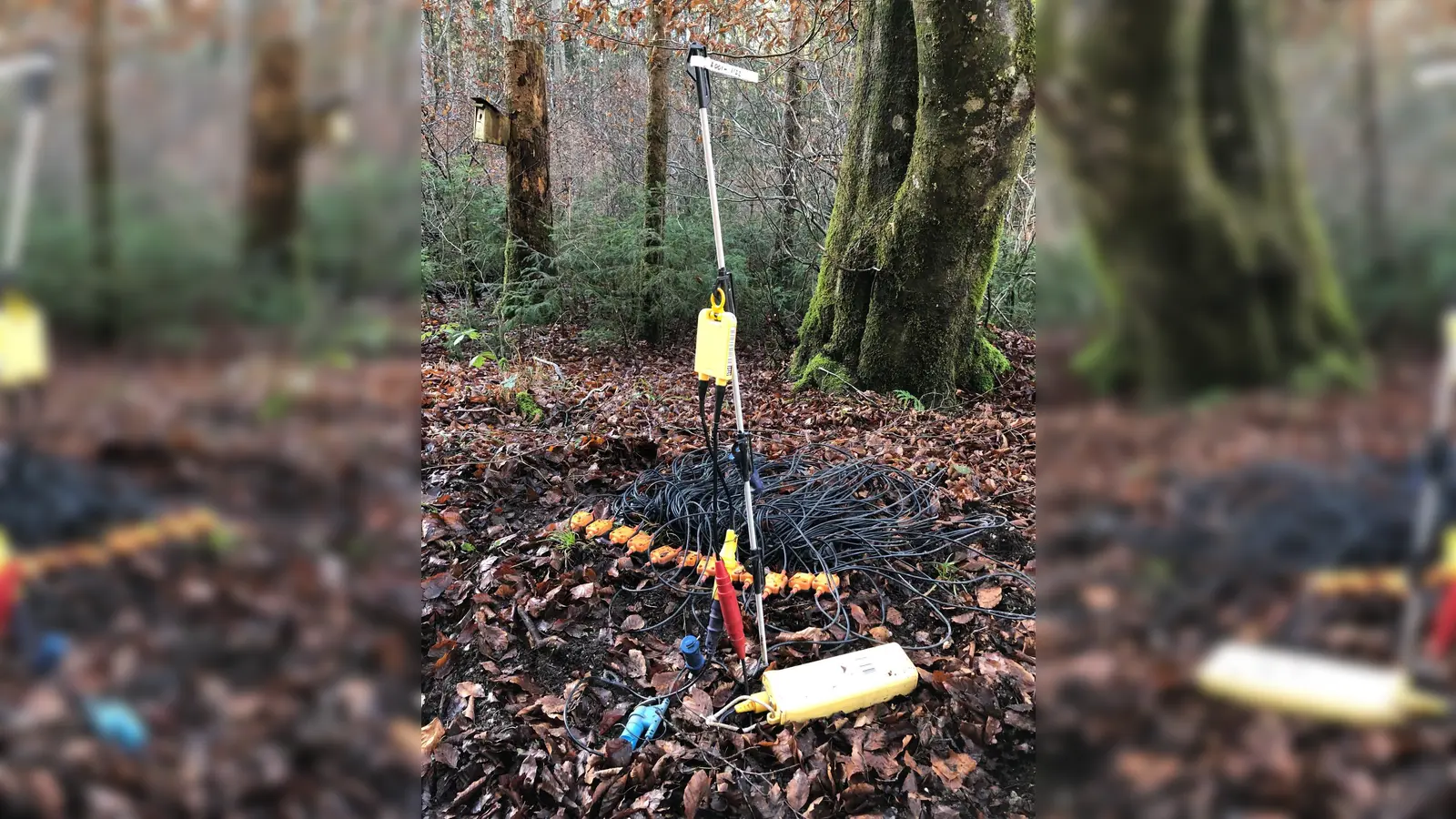 Bei den Seismikmessungen werden auch sogenannte Geophone eingesetzt. Im Grenzbereich verschiedener Gesteinsschichten in unterschiedlichen Tiefenlagen werden die Schallwellen reflektiert und von hochempfindlichen Erdmikrophonen, sogenannten Geophonen, an der Erdoberfläche aufgezeichnet (Foto: SWM)