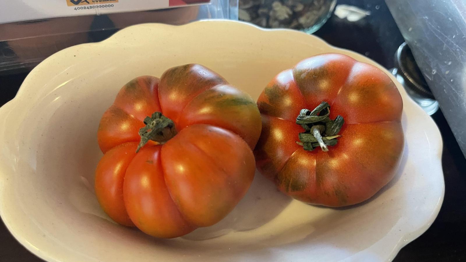 Vortrag-Mit-der-Tomate-durch-das-Jahr