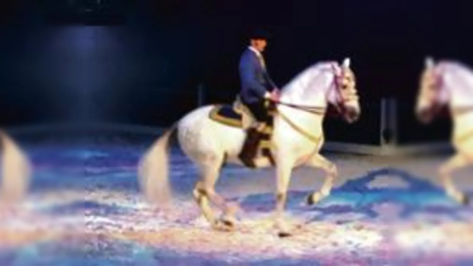 Da capo: Ob der großen Nachfrage wurde ein weiteres Apassionata- Gastspiel angesetzt. 	 (Foto: gf)