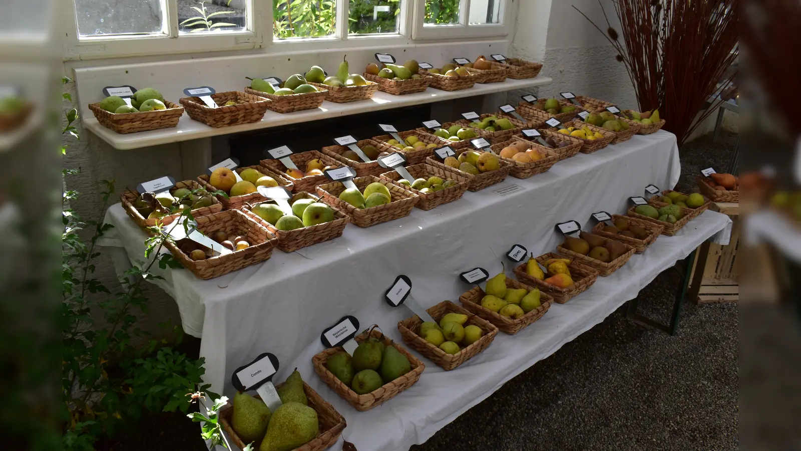 Wir stellen jeden Monat das regionale Obst und Gemüse vor, das es gerade frisch (und saisonal) auf den Märkten und in den Supermärkten gibt. (Foto: Anna Marinelli)