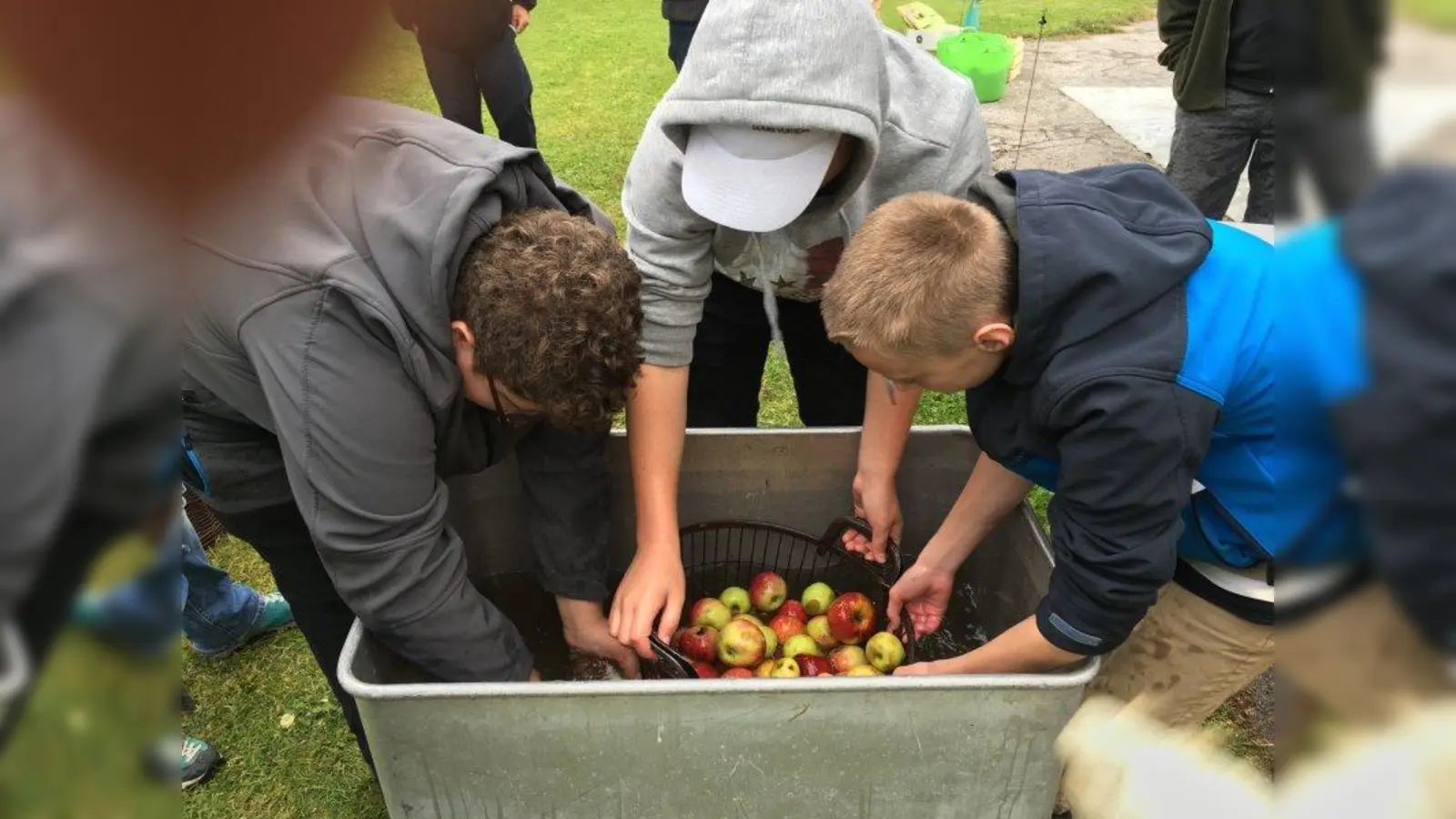 Nach der Ernte wurden die Äpfel gewaschen. (Foto: Eugen-Papst-Schule)