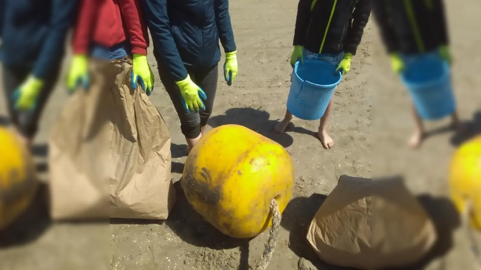 Besonders die Meere haben mit der Belastung durch Plastikmüll zu kämpfen.	 (Foto: VA)