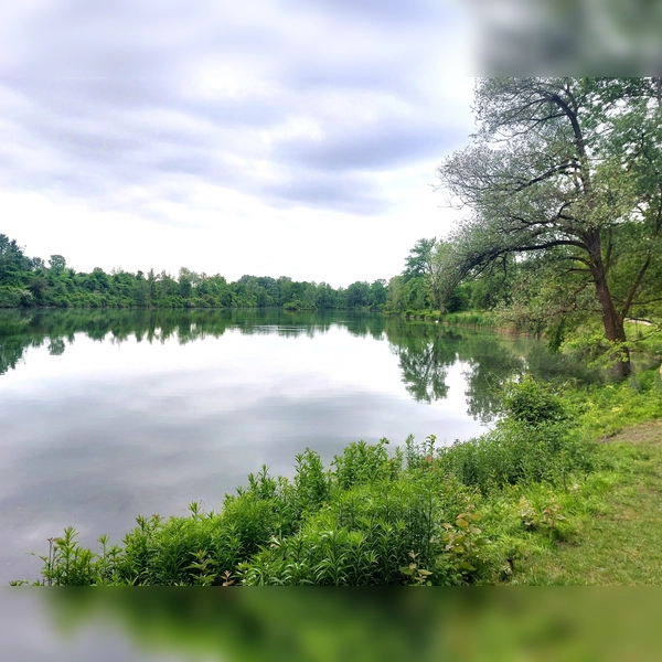 Auch am Poschinger Weiher in Unterföhring wird das Landratsamt mit einem Infostand vor Ort sein. (Archivbild: bas)