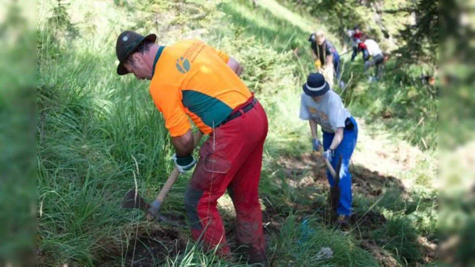 Der Alpenverein sorgte mit 124 freiwilligen Helfern dafür, dass die wichtige Schutzfunktion des Waldes nicht verloren geht. 	 (Foto: DAV / Marco Kost)