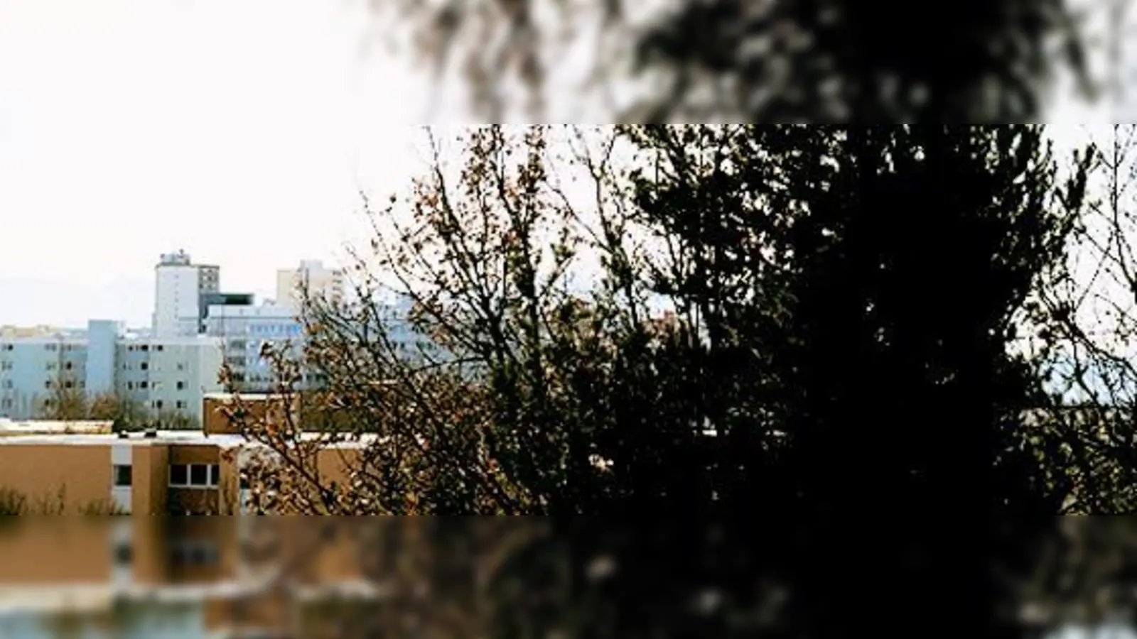 Der Blick vom Ostparkberg Richtung Alpen wird von dichtem Geäst versperrt, ein Rückschnitt oder gar ein Turm würde Abhilfe schaffen.   (Foto: B. Wosegien)