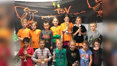 Die Riemerlinger Haie sind stolz auf ihren engagierten Nachwuchs, der beim letzten Wettkampf gleich vier Medaillen holte.  (Foto: VA)