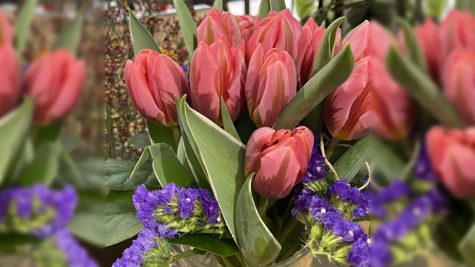 Mit Elementen aus Natur und Kunst erzäht das Projekt „Surprize me” eine Geschichte. (Symbolbild: hw)