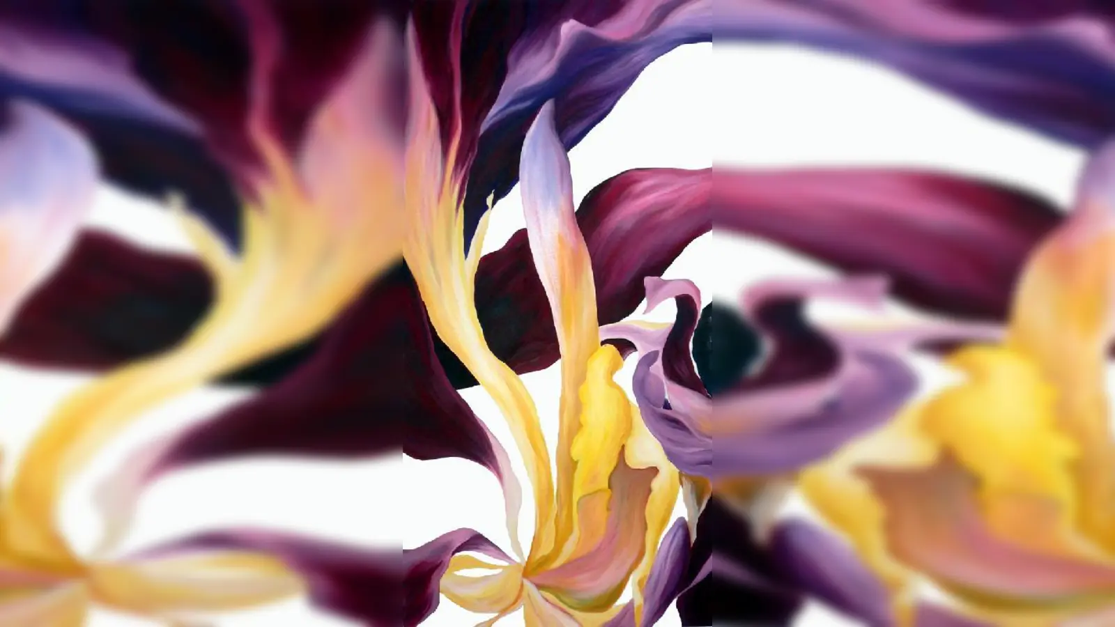 Nur wenige Blumen vergehen so dekorativ wie Tulpen.	 (Foto: VA)