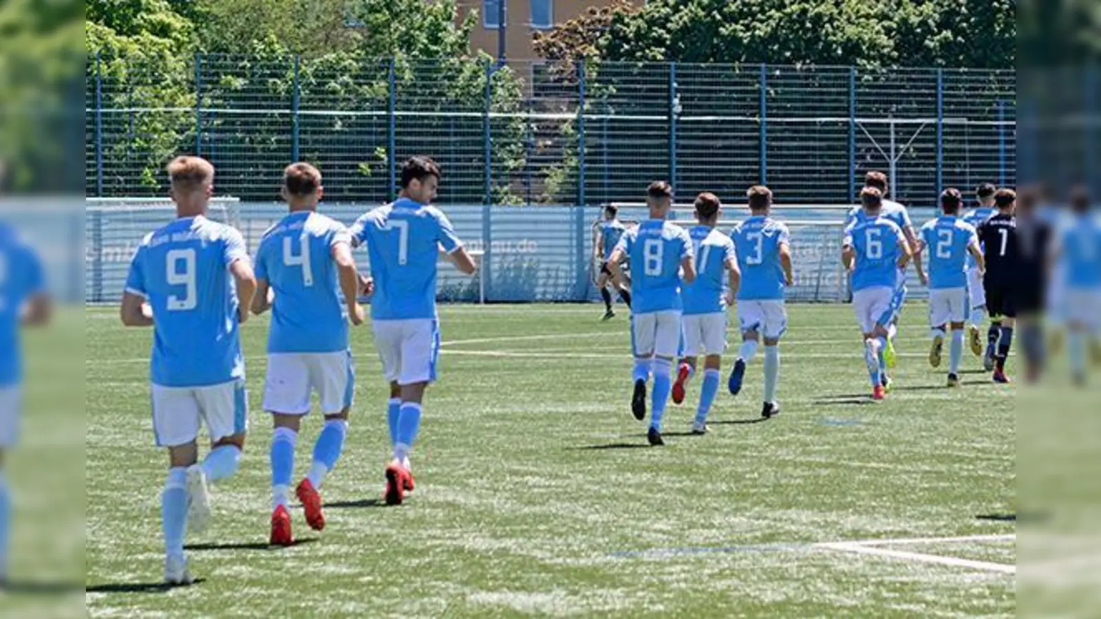 Neue Runde, neues Glück: Junglöwen vor dem Saisonstart.  (Foto: Anne Wild)