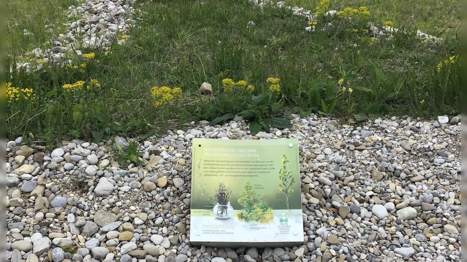 Die Südliche Fröttmaninger Heide ist ein wertvolles Naturschutzgebiet. Bei zwei Nachbarschaftstreffen kann man ihre Zukunft mitgestalten.  (F.: D. Mielcarek)