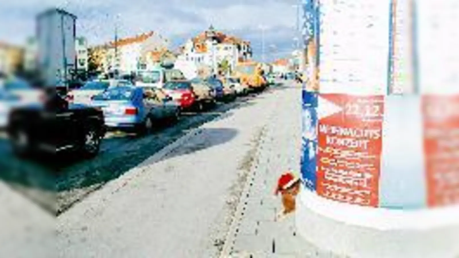 Gerade war er noch da, doch für die Kamera ist der Wichtel einfach zu schnell. Möglicherweise hält er sich noch immer in Moosach auf.	 (Foto: Privat)