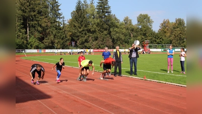 Am letzten Ferienwochenende lädt der BLSV Kreis Erding nun zum 7. Mal in Folge zum Sportabzeichentag ein. (Foto: VA)