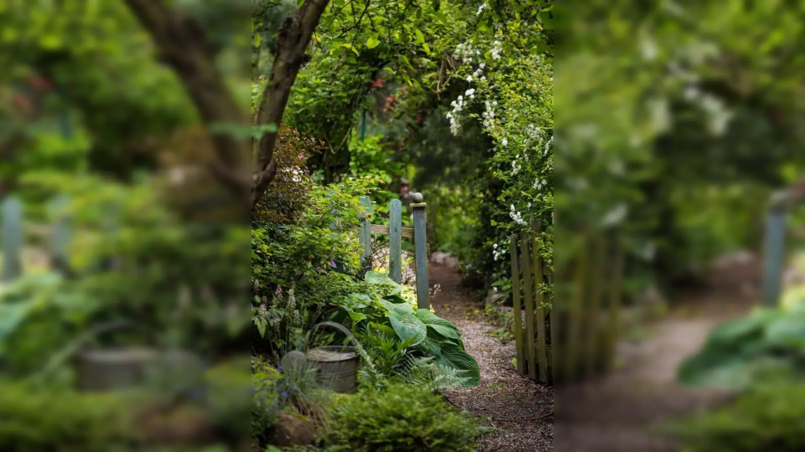 Damit der Garten auch im Sommer prachtvoll bleibt, muss er regelmäßig gegossen werden. (Foto: Rainer Sturm/pixelio)