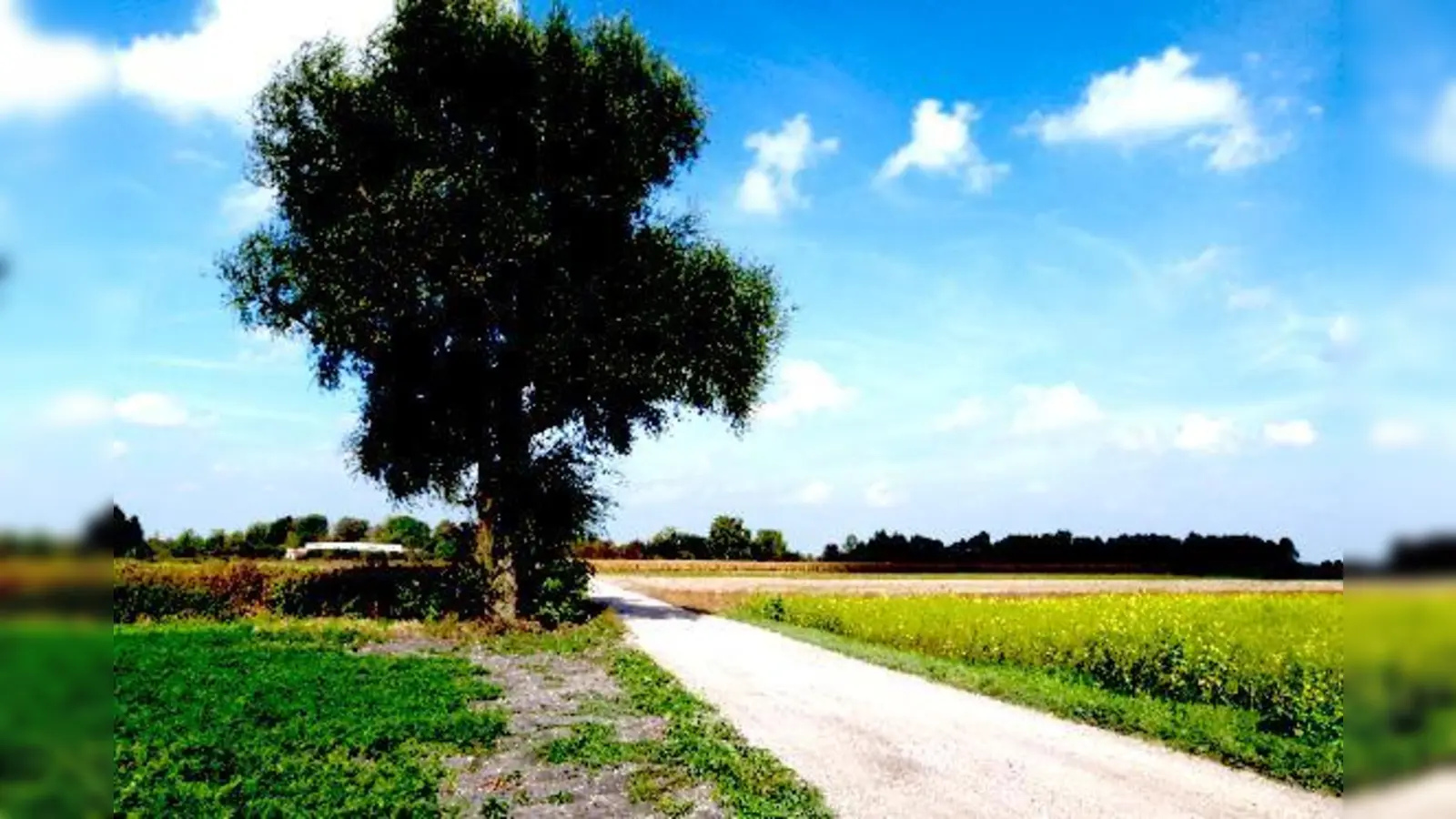 as Beckermoos im Süden von Hallbergmoos grenzt direkt an den Landkreis München mit dem Gebiet von Ismaning. Die wollen Windanlagen bauen  zwar auf ihrem Gebiet, doch das ist nur ein paar Meter weiter als der Hallbergmooser Standort.  (Foto: bb/frugola)