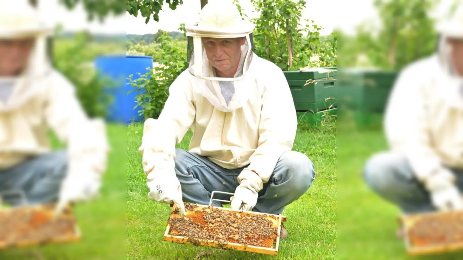 Auf einer der Waben hat Walter Götz die Bienenkönigin gefunden. Sie trägt einen weißen Punkt. 	 (Foto: Sybille Föll)