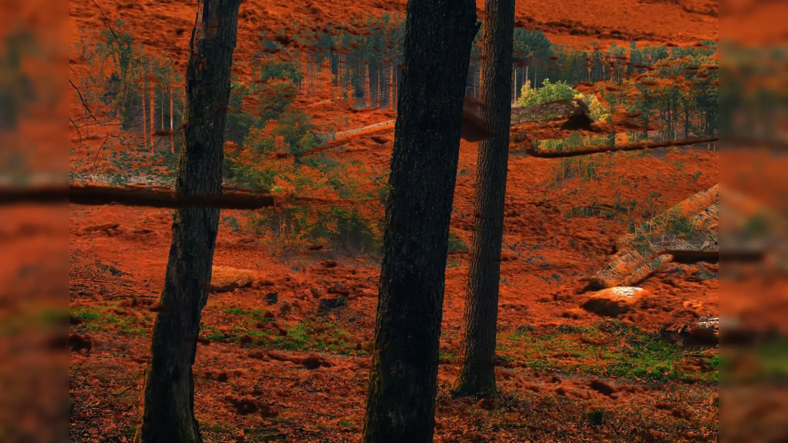 Das Bild zeigt eine Gemeinschaftsarbeit von Anne Quirynen und Sandra Schäfer. (Foto: Anne Quirynen, Sandra Schäfer/Grafik: Matteo Lisanti)
