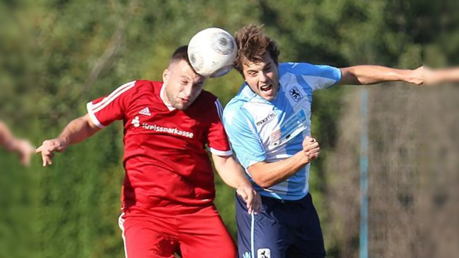 Treffsicher: Amateur-Löwe Wilhelm Freiberger.  (Foto: A. Wild)