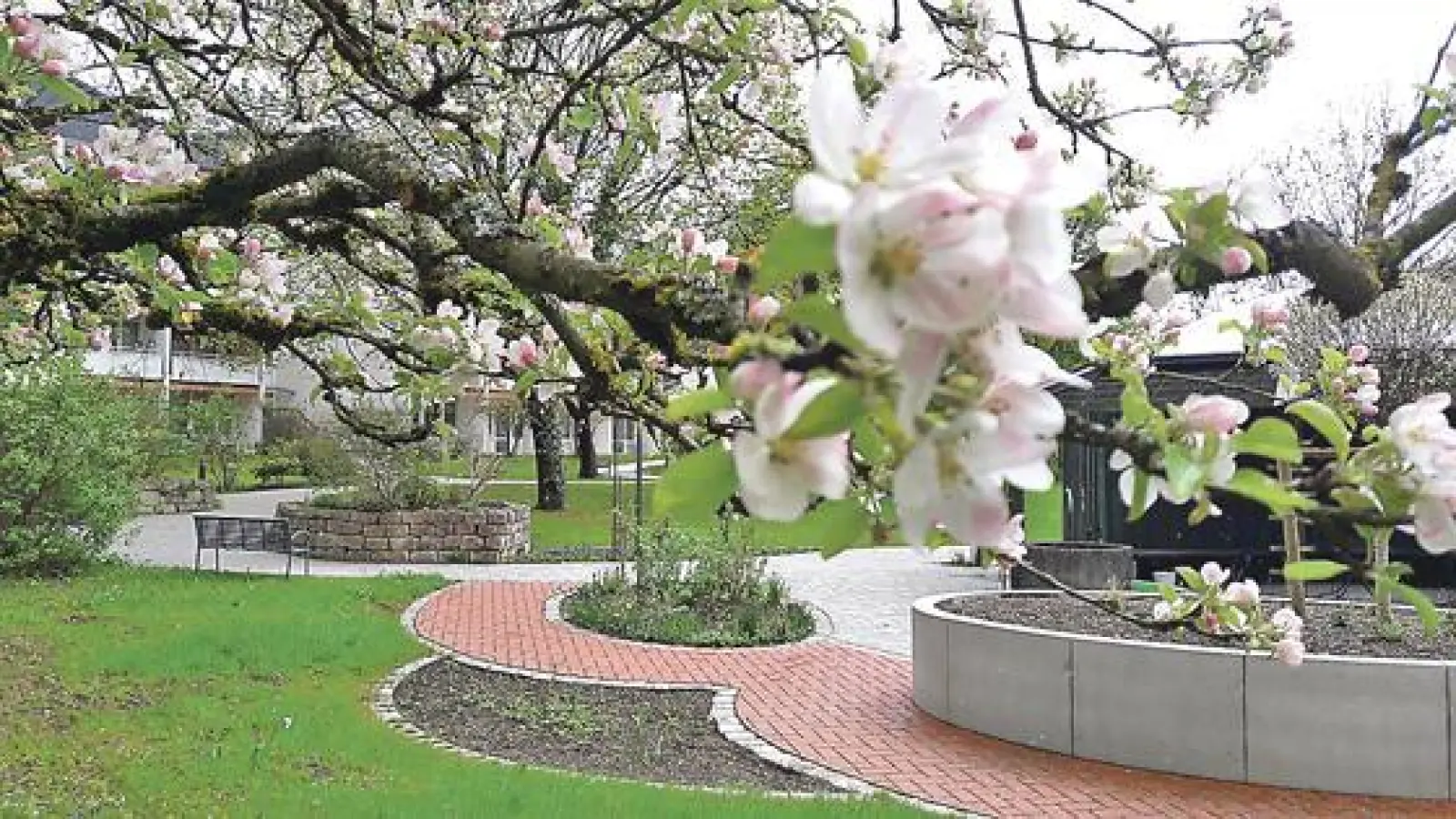 Gartenglück mit Glücksspirale im Caritas Altenheim St. Michael in Perlach.	 (Foto: VA)