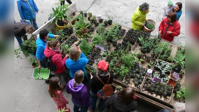 Unter dem Motto „Grünzeug sucht Garten” werden überschüssige Jungpflanzen angeboten. (Foto: Gartenbauverein Weilheim-Schongau)