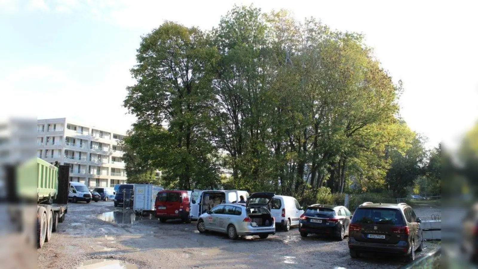 Möglichst viel des alten Baumbestandes soll erhalten bleiben, wenn die neuen Grünflächen im Wohngebiet Gerberau angelegt werden. (Foto: sb)