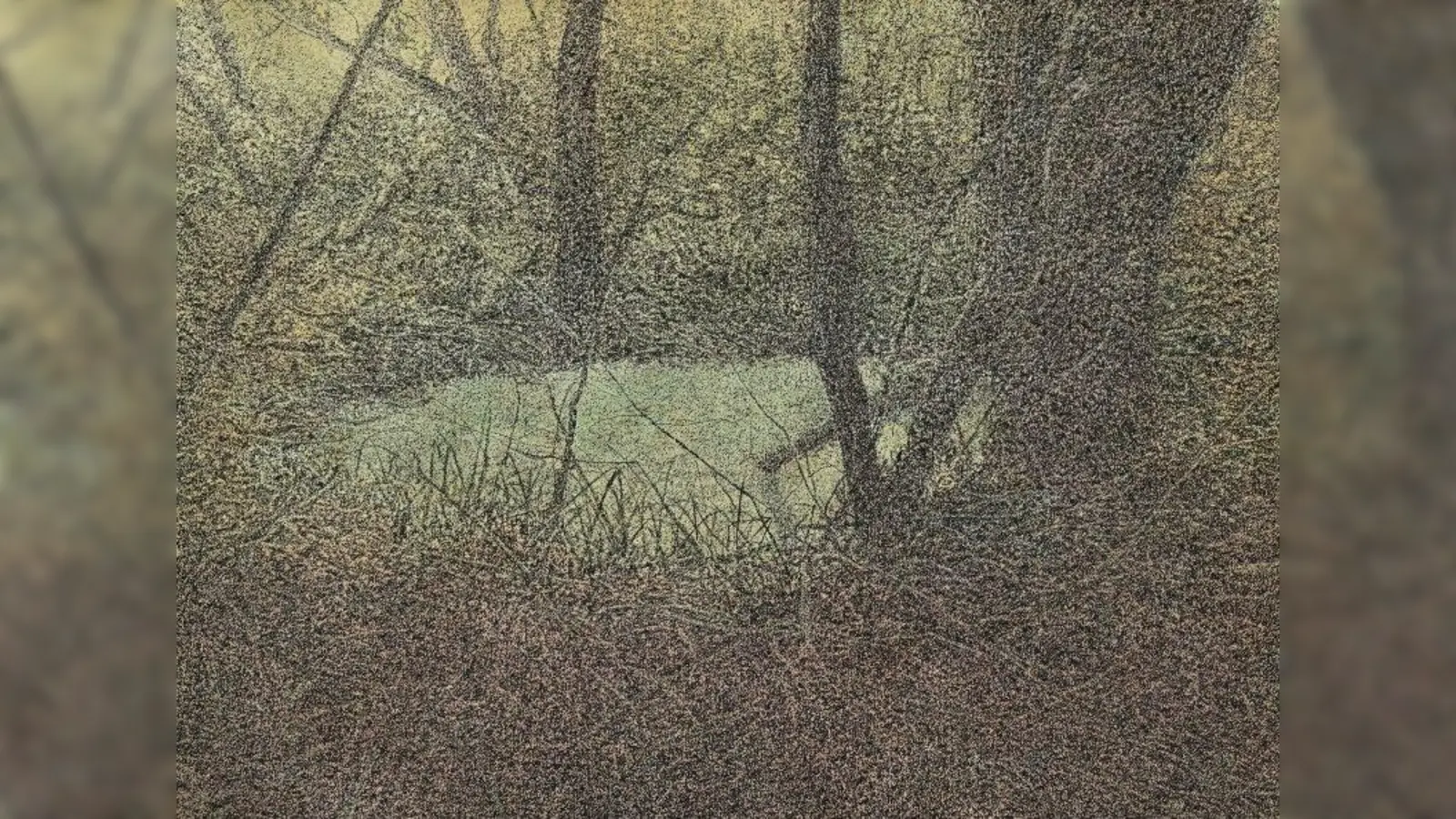 Die Werke von Thomas Cena sind derzeit im Kunstraum München ausgestellt. (Foto: Cena)