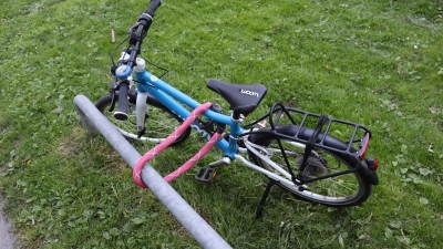 Solange die Kleinen noch nicht selber fahren, ist man froh, sie auf dem eigenen Fahrrad mitnehmen zu können.  (Symbolbild: mha)