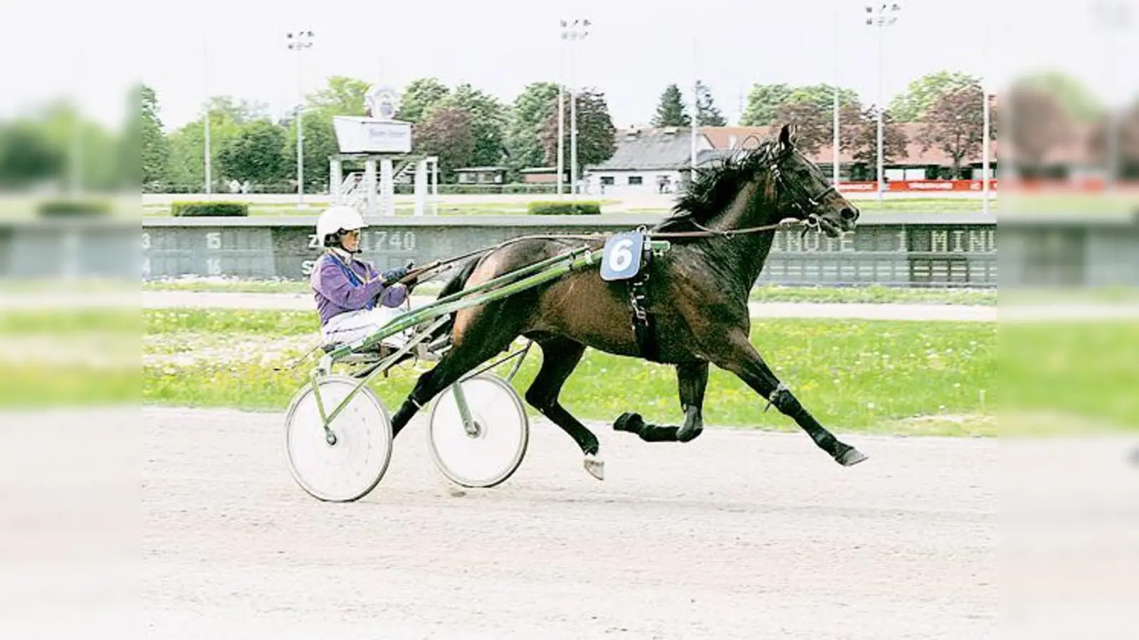 Muss ein 25-Meter-Handicap wettmachen: der favorisierte Giant des Bois (Birgit Schwarzmann).  (Foto: spr)