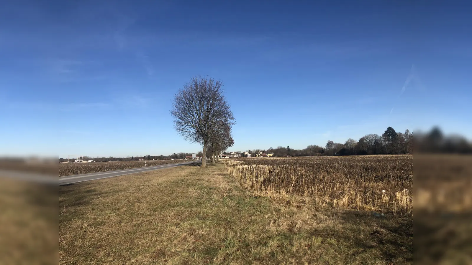 Sowohl die Bereiche östlich als auch westlich der Unterhachinger Straße wurden im Rahmen eines Strukturplanes ins Visier genommen. Sollten die Gutachten zu Klimaschutz und Hochwasserschutz positiv ausfallen, könnten hier Wohnbebauung und Industrie entstehen.  (Foto: hw)
