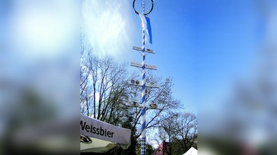 Im Zeichen des Maibaums wird rund um die Menterschwaige in Harlaching gleich fünf Tage lang ausgiebig gefeiert. (Foto: hw)