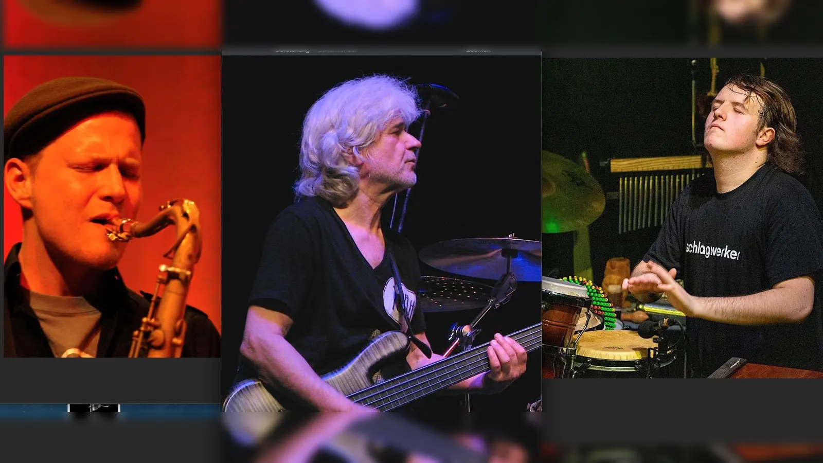 Das Wolfgang Schmid Trio spielt sich im Pelkovenschlössl „mit Grooves um die Welt”. (Foto: VA)