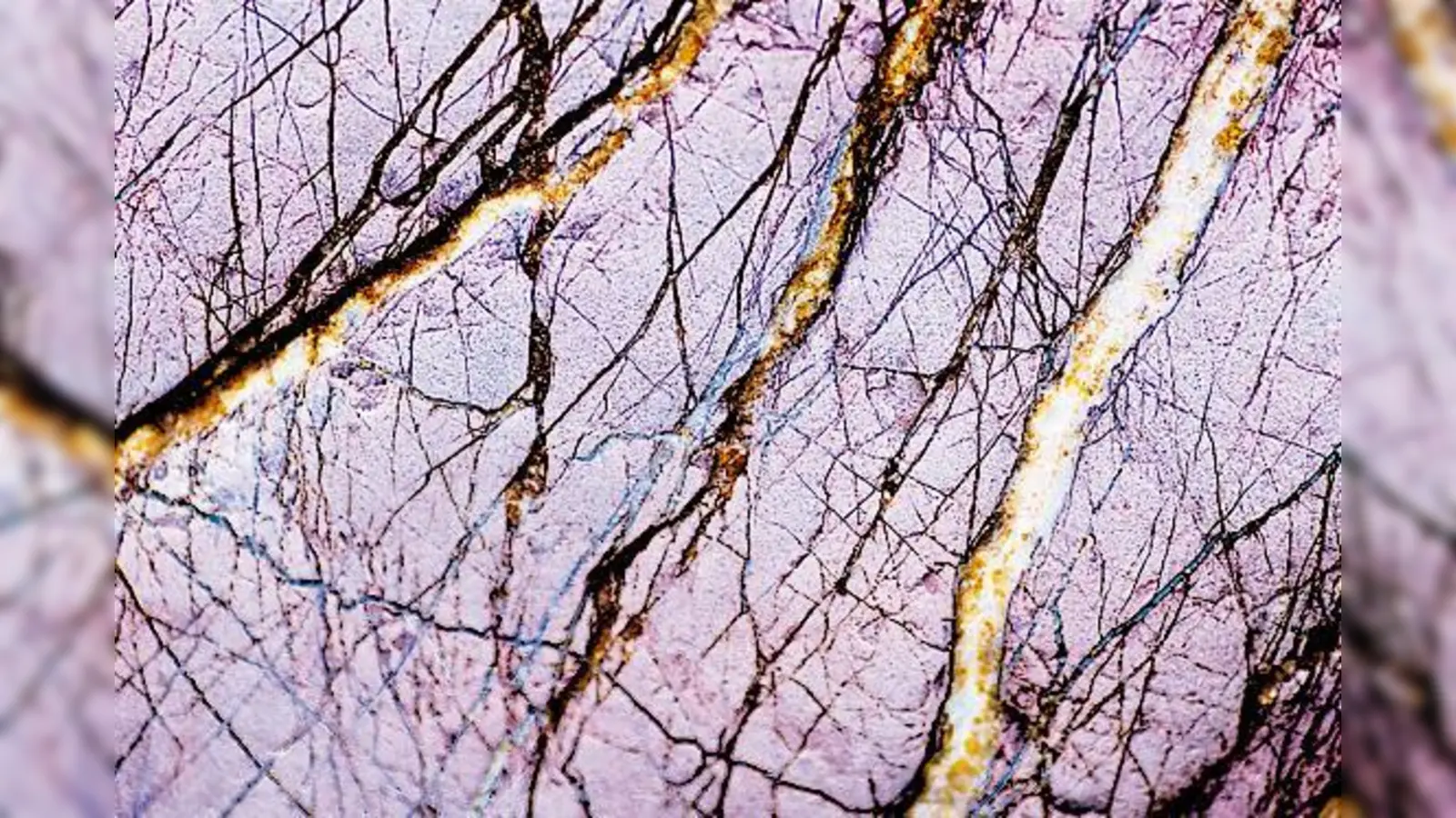 Vertraute Natur unter der Kameralinse in reine Struktur verwandelt: Foto von Karina Hagemann.	 (Foto: VA)