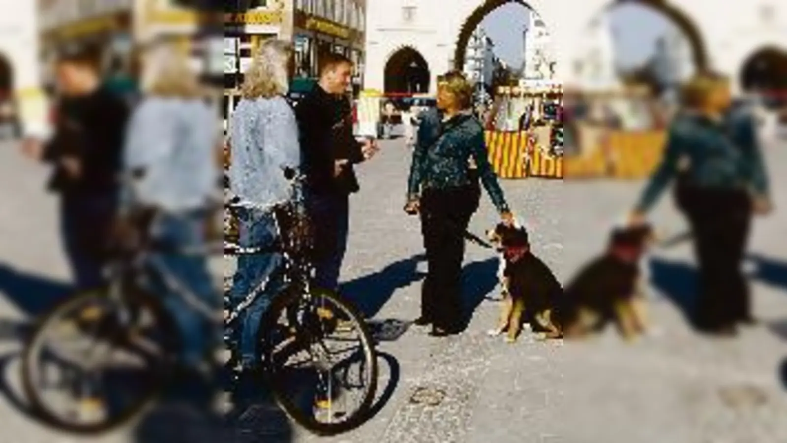 Die Stadtkämmerei prüft, ob Münchner Hunde auch wirklich gemeldet sind.  (Foto: Stadt München)