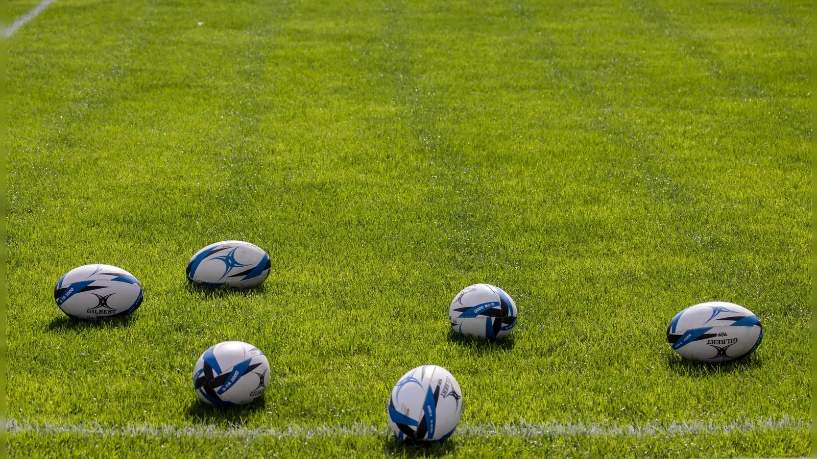 In Planung: Rugby im Zeichen des Löwen.  (Foto: Pixabay: TheOtherKev)