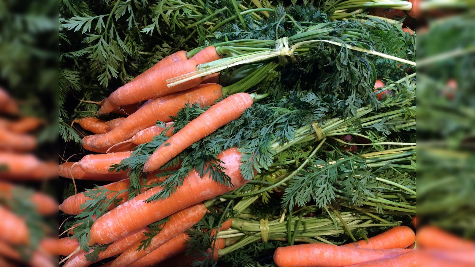 Museum-Wald-und-Umwelt-Waldweihnacht-feiern