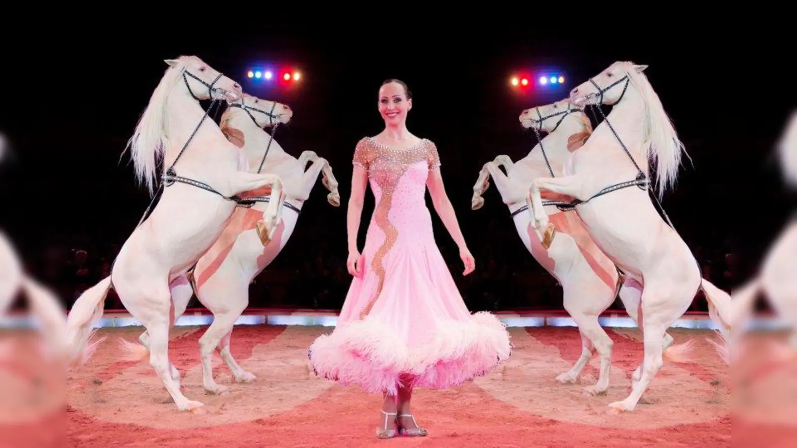 Ein Bild zum Träumen: Circusprinzessin Jana Mandana mit ihren wunderschönen Pferden. (Foto: circus-krone.de)