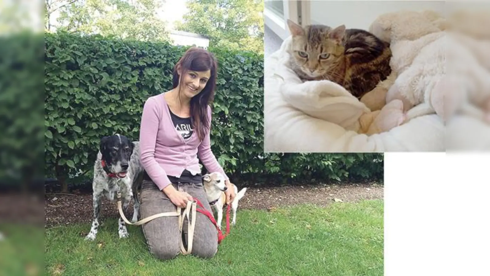 Kristina Berchtold vom Tierheim Riem sucht dringend einen Platz für die beiden betagten Hundedamen Vickey und Marge. Foto klein: Heidelinde würde gerne einen glücklichen Lebensabend in einem liebevollen Zuhause verbringen.  (Fotos: ahi)