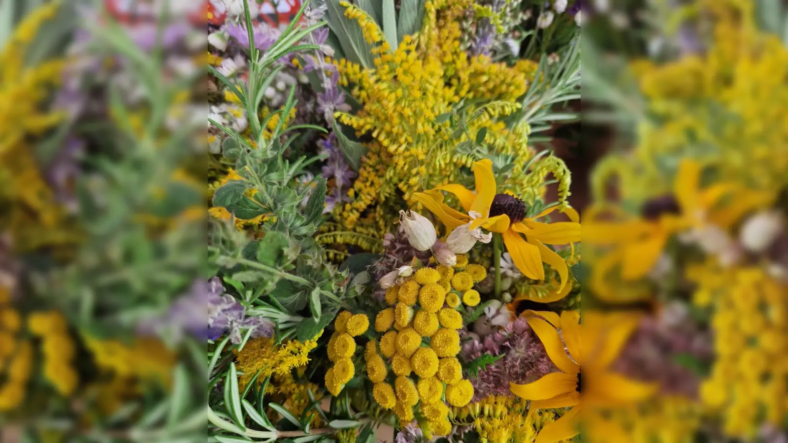 Sie schauen nicht nur schön aus, sondern riechen auch noch gut. Die traditionellen Kräuterbuschen zu Mariä Himmelfahrt. (Foto: M. John)