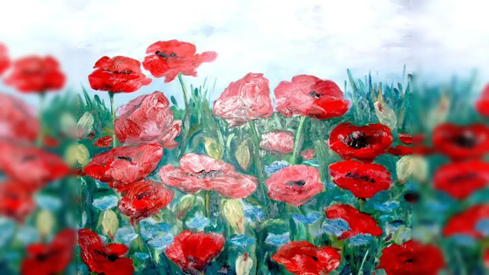 Roter Mohn von Otto E. Bohn.	 (Foto: VA)