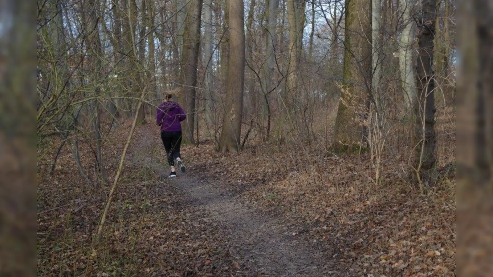 Wie im Wald: Im Bavariapark gibt es zum Teil rund 100 Jahre alte Eichen. (Foto: kö)