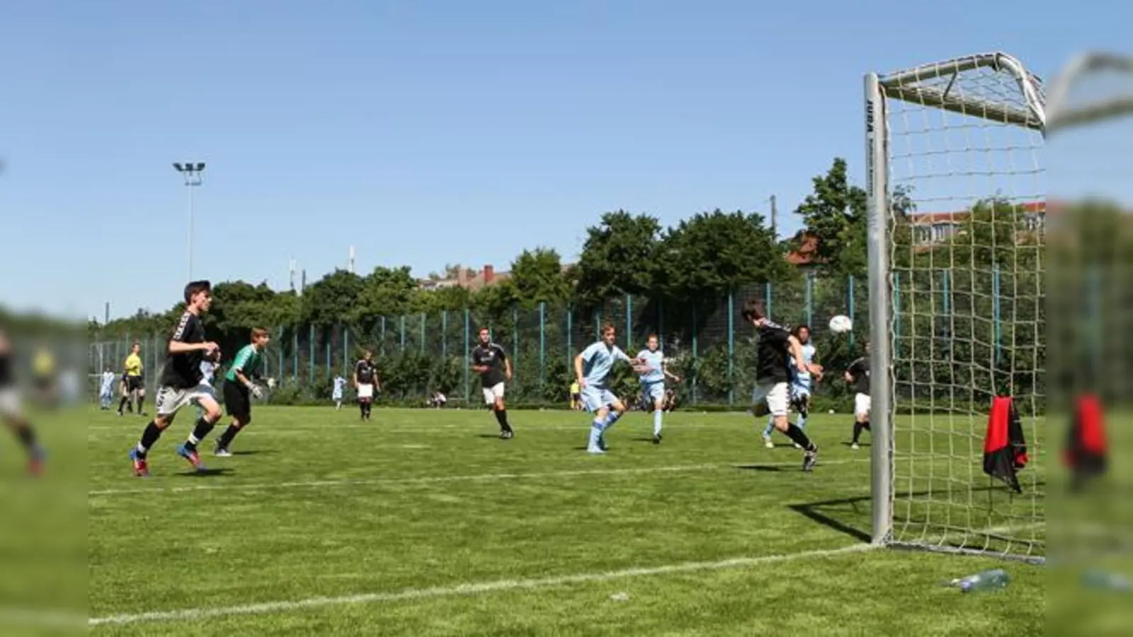 Treffsichere Junglöwen: die U15-Junioren.  (Foto: A. Wild)