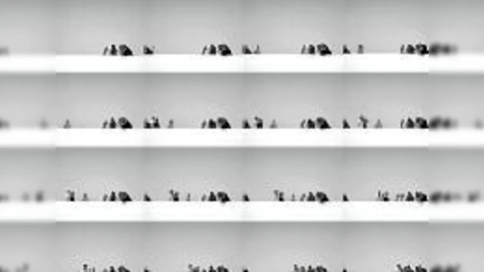 Zwei Tage voller Kunst: Ausstellungen, Vorträge und Workshops rund um das Thema Kreativität. 	 (Foto: VA)