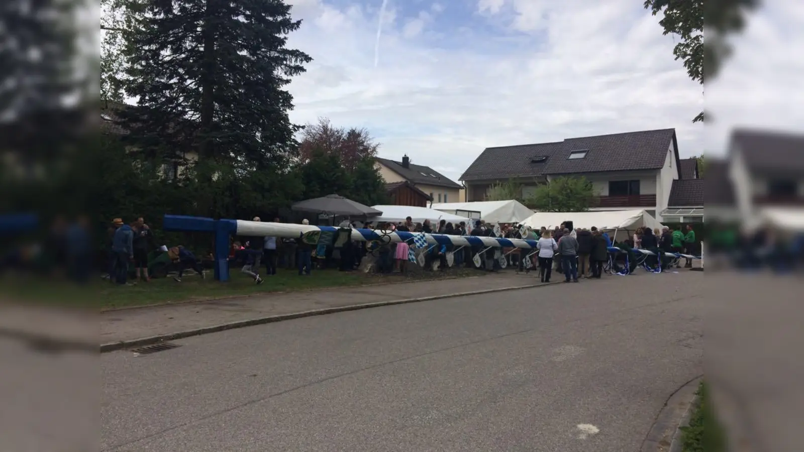 Das Maibaumfest am vergangenen Sonntag in der Unterschleißheimer Mallertshofener Straße: Mittlerweile steht der Baum in der Vertikale. (Foto: Daniel Mielcarek)