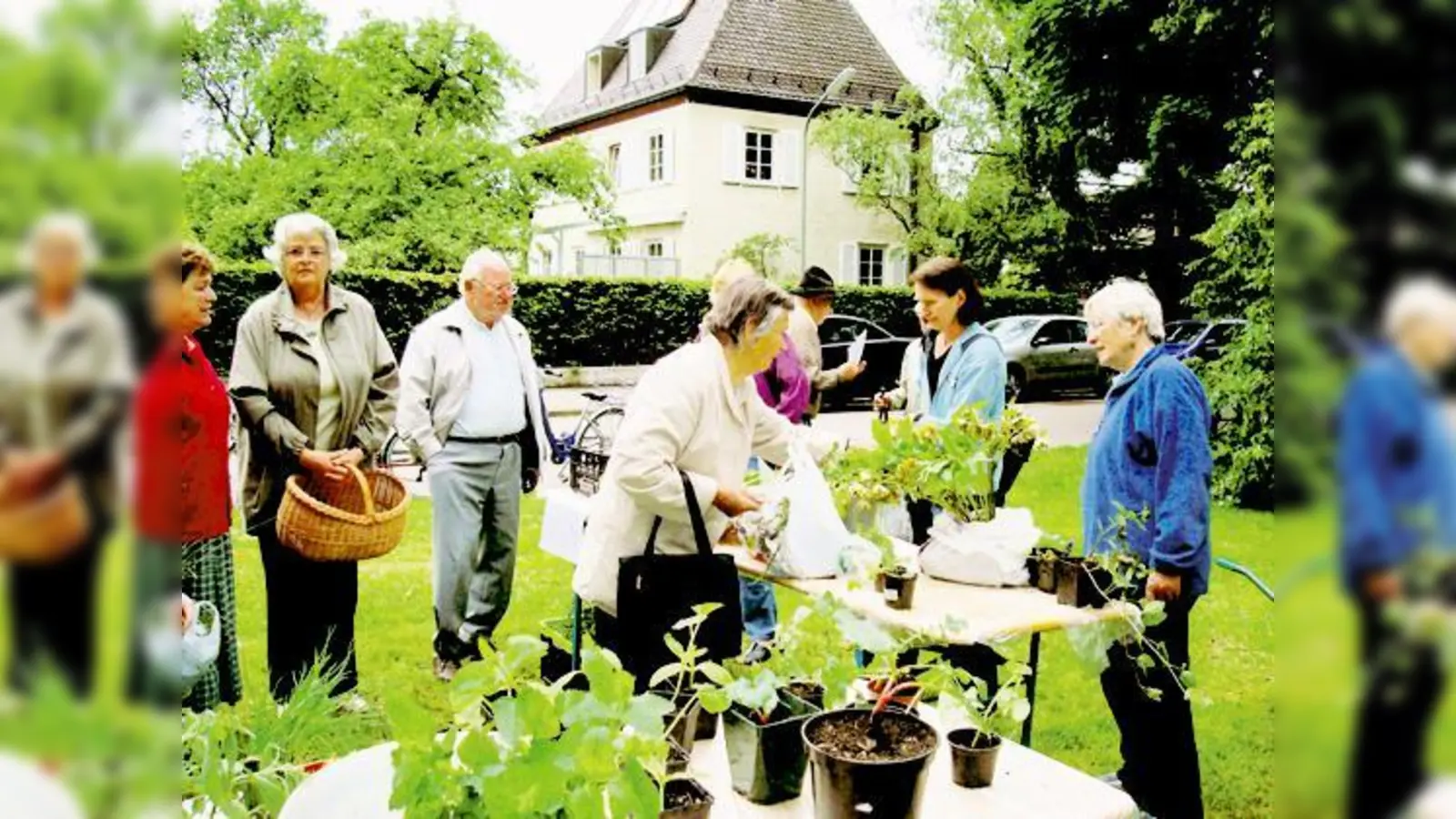 Die Pflanzentauschbörse der Moosacher Siedler war ein großer Erfolg.	 (Foto: Verein)