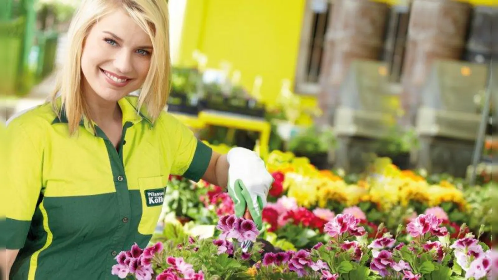 Blütenpracht, die Bienen, Schmetterlingen und anderen Insekten nicht schadet: Pflanzen-Kölle will den Einsatz von Pflanzenschutzmitteln drastisch reduzieren. Bei einer Gratis-Gratispflanzaktion kann man jetzt seine Terrasse und seinen Balkon frühlingsfrisch machen. (Foto: Pflanzen-Kölle)