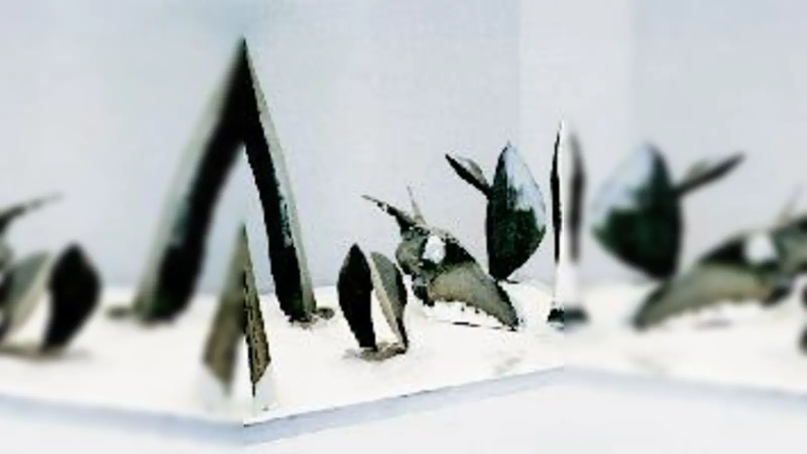 Kunst von Bindl. (Foto: VA)