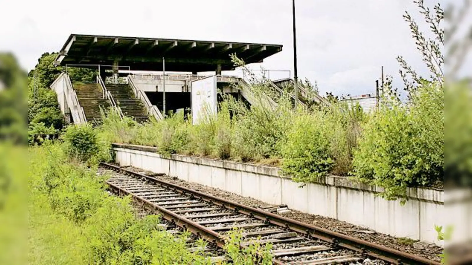 38 Jahre nach der Olympiade hat sich der ehemalige Olympiabahnhof in ein Biotop verwandelt. 	 (Foto: ws)